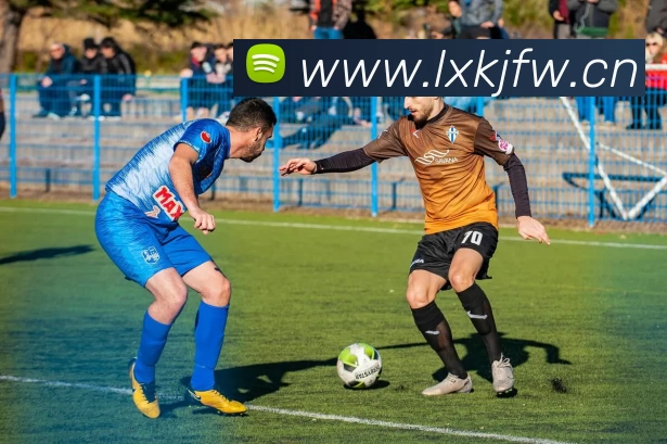 九游网站入口服务体系